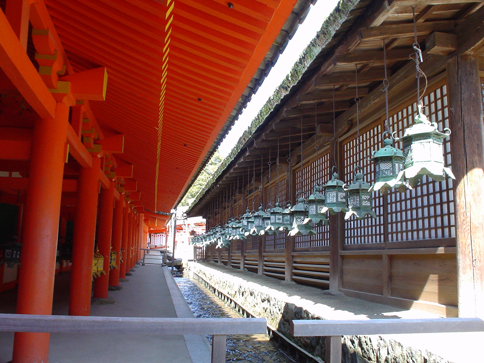Gran Buda de Kamakura (Kotoku-in) rodeado de vegetación
