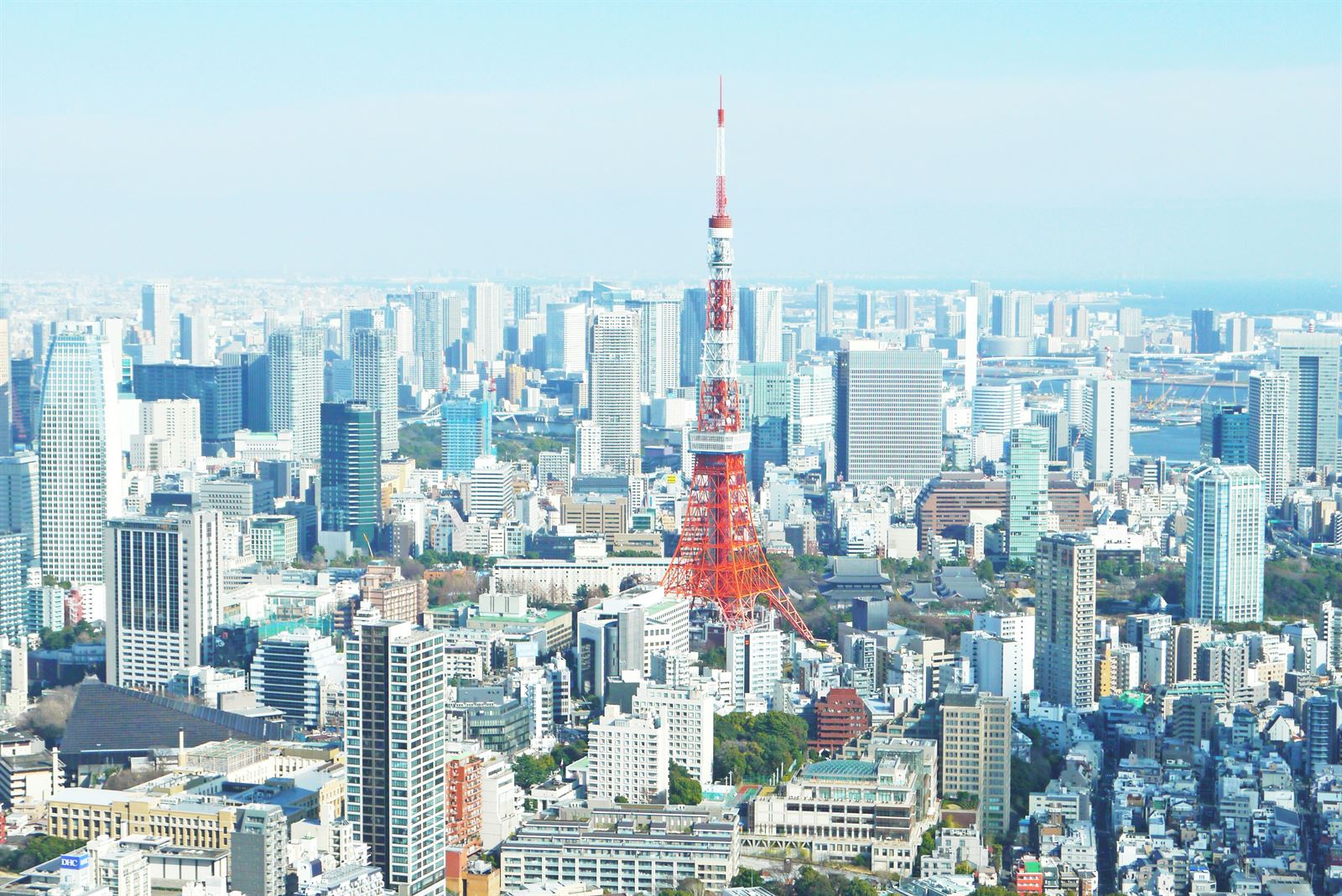 Guía de viaje a Tokio: qué ver, barrios y consejos prácticos